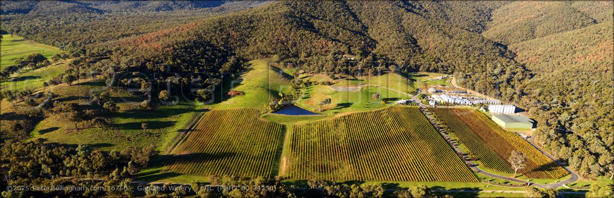 Peter Bellingham Photography Gapsted Winery - VIC (PBH3 00 34230)